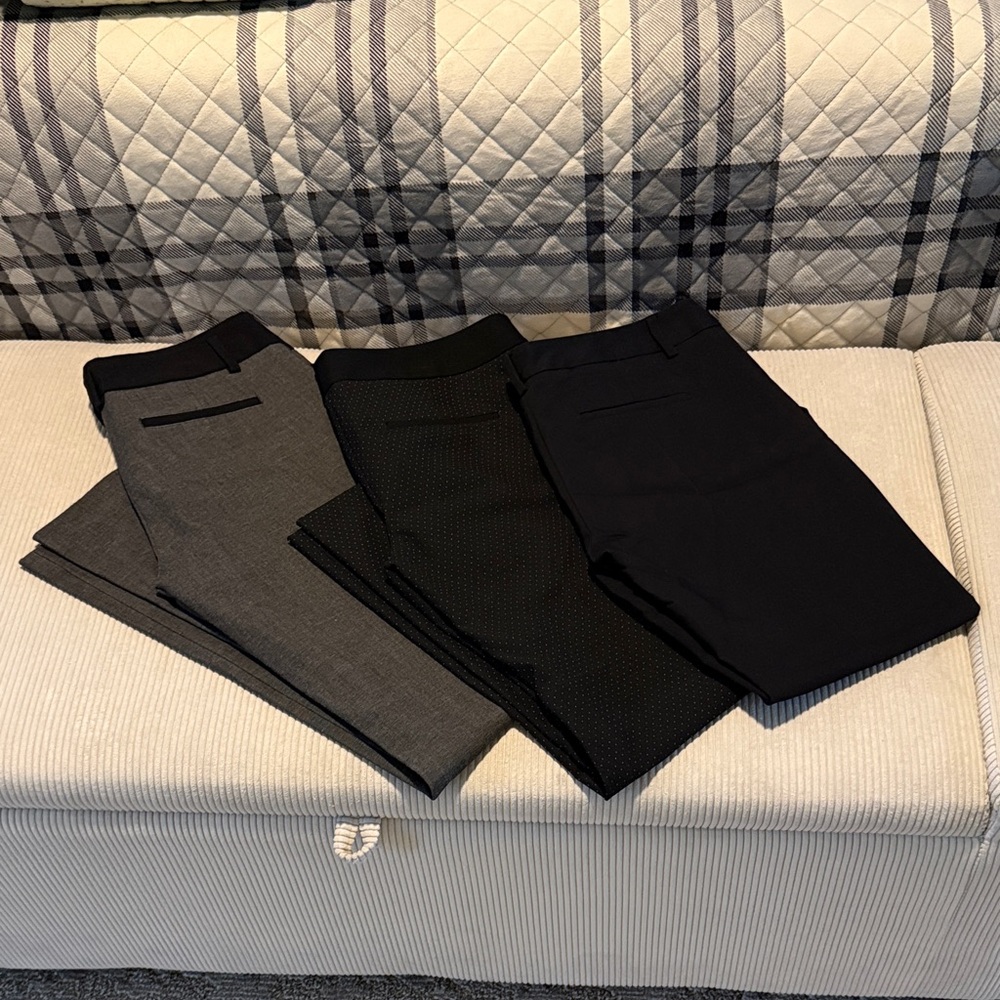 Bundle of Three Express Columnist Dress/Work Pants.